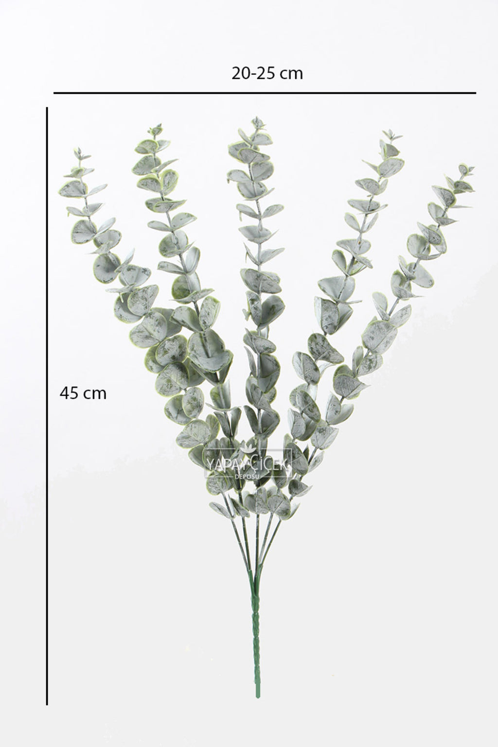 Eucalyptus bundle in a vase