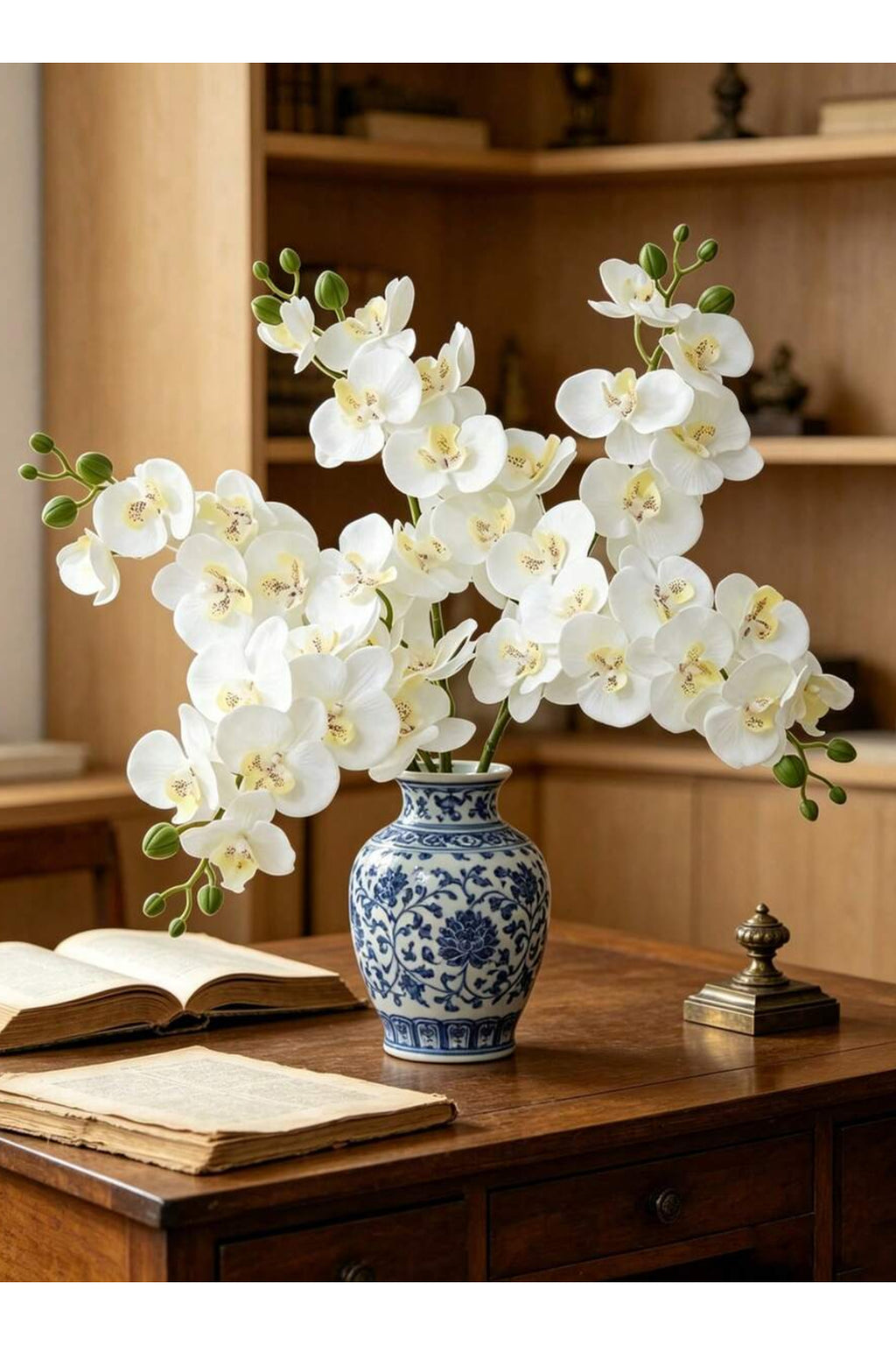 Orchid stem in a vase