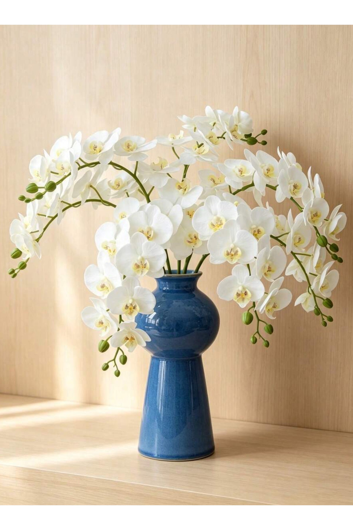 White orchid blooms close-up