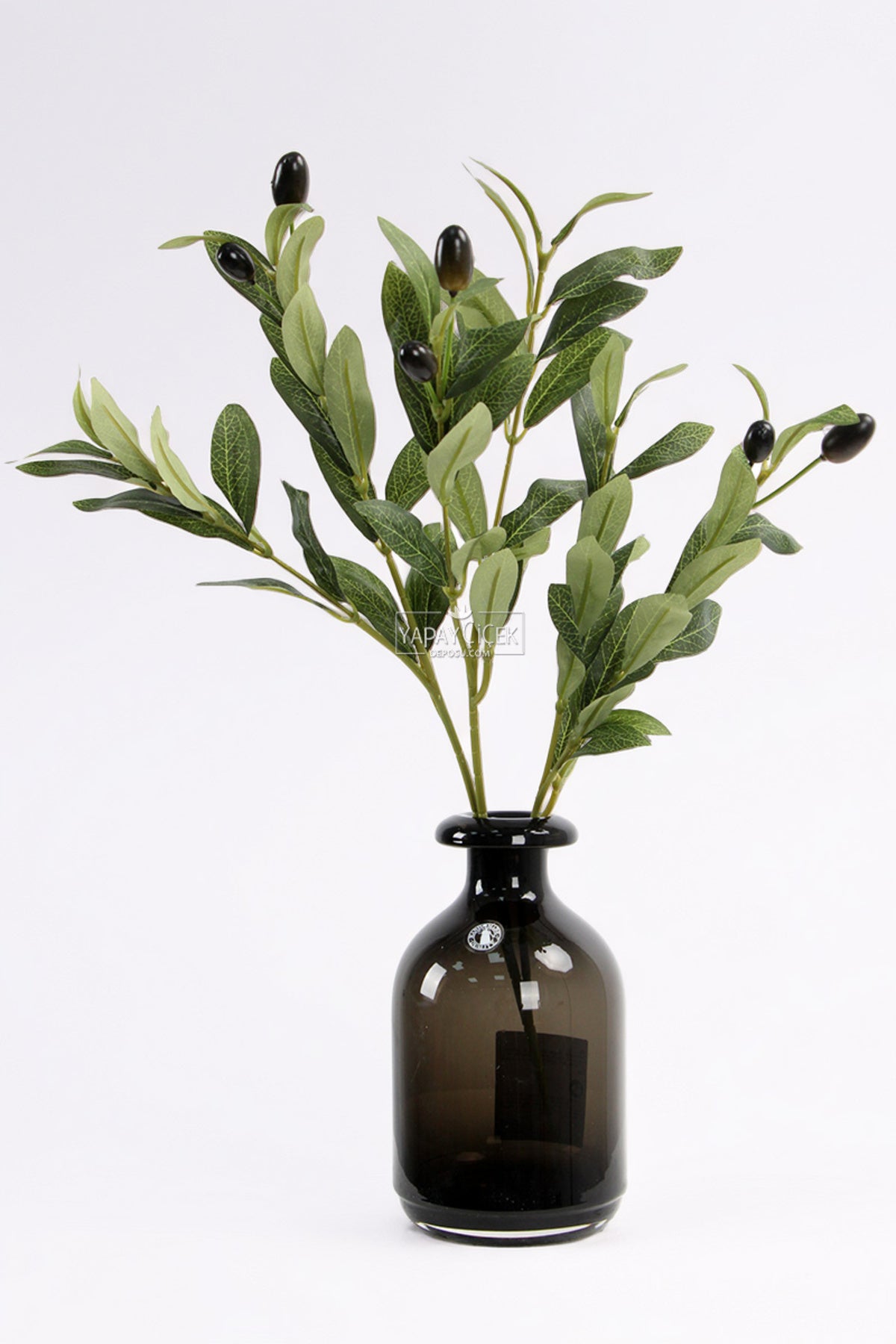 Olive leaves detail