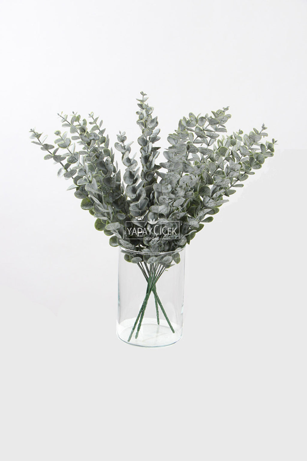 Vintage eucalyptus leaves