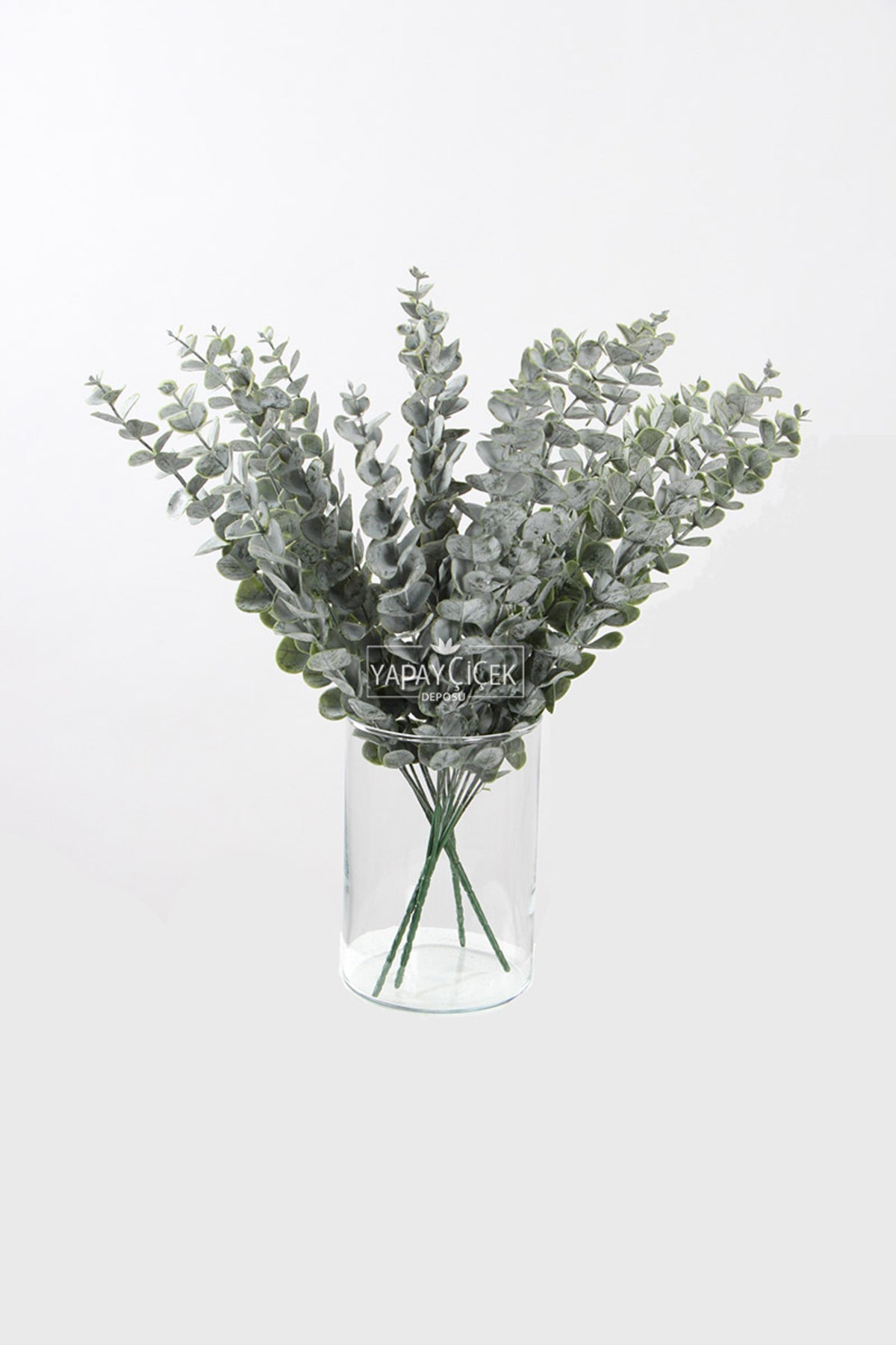 Vintage eucalyptus leaves