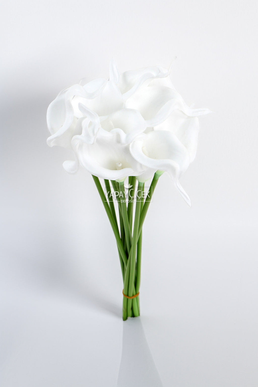 Calla lily detail