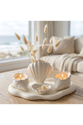 Seashell decor set of 5 white