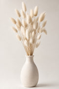 Bunny tail grass in a vase