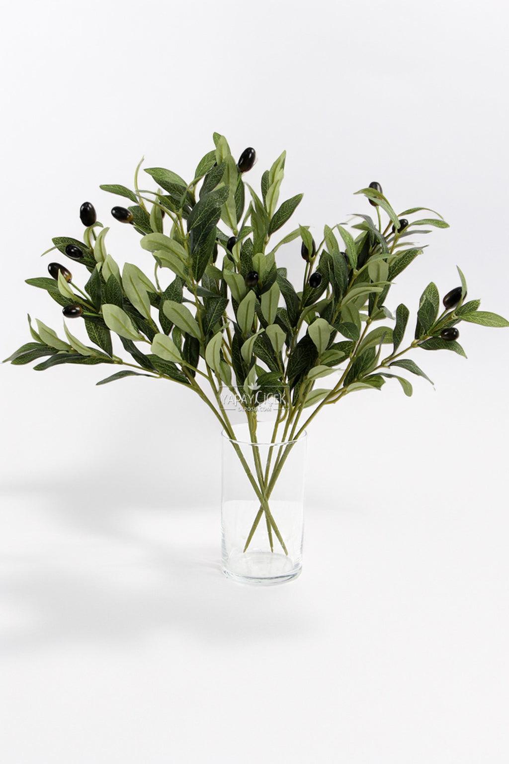 Olive branches in a vase