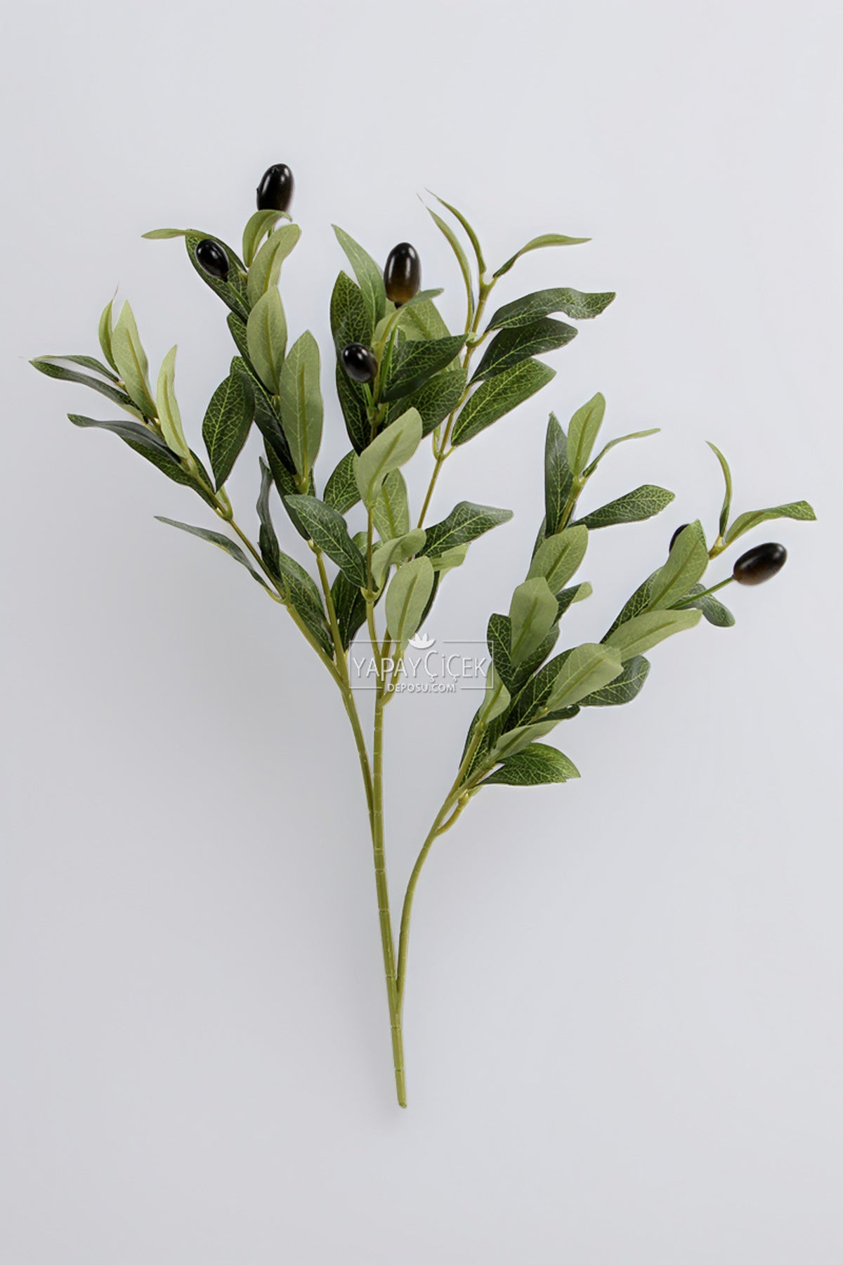 Olive branch bundle styled