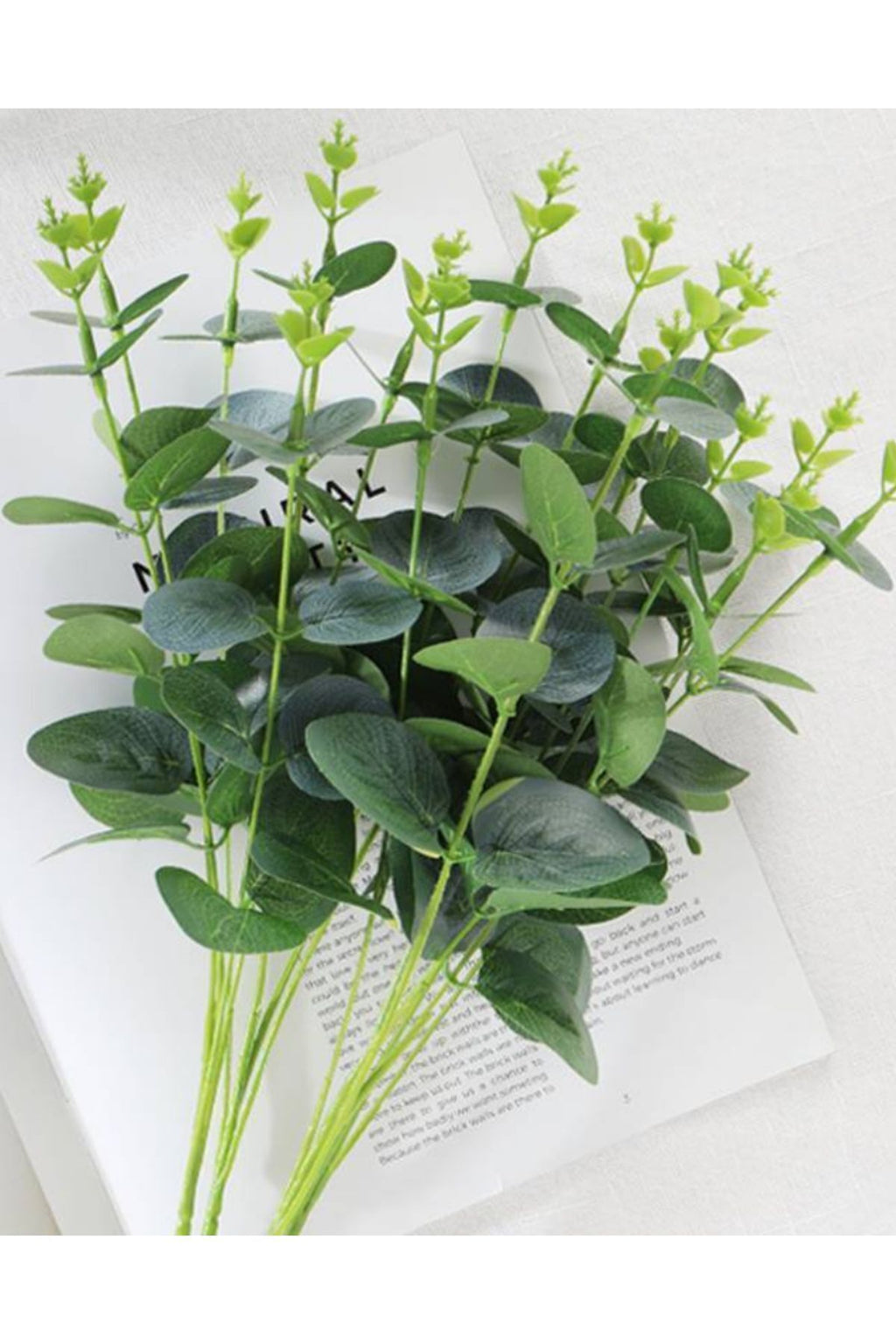 Eucalyptus in a vase